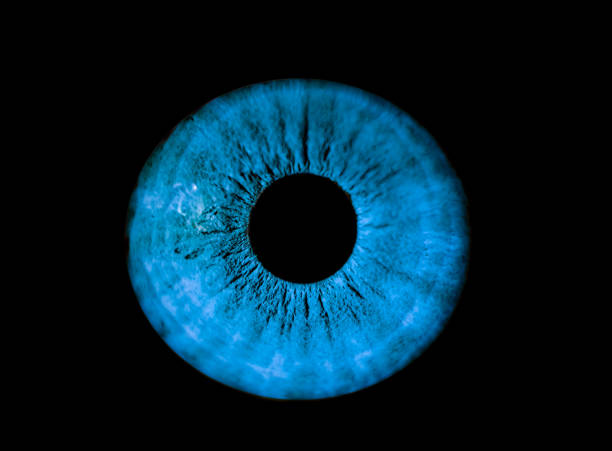 human blue iris eye. colorful pupil in macro on black background - human eye eyesight women creativity imagens e fotografias de stock