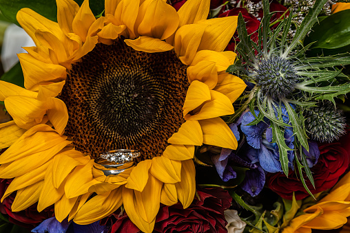 The bride and groom's wedding rings laying on a giant bright yellow sunflower in her wedding bouquet.