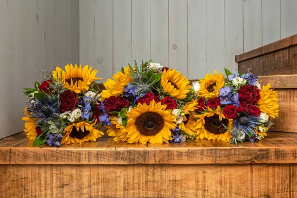 The bride and her bridesmaids brightly colored yellow sunflower wedding bouquets together on a rustic background.