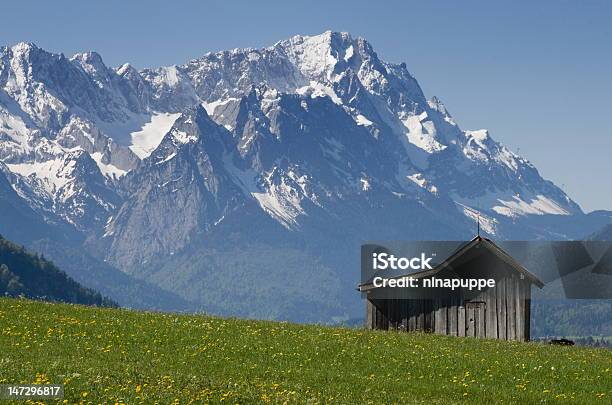 Foto de Baviera e mais fotos de stock de Alpes europeus - Alpes europeus, Baviera, Dente-de-Leão