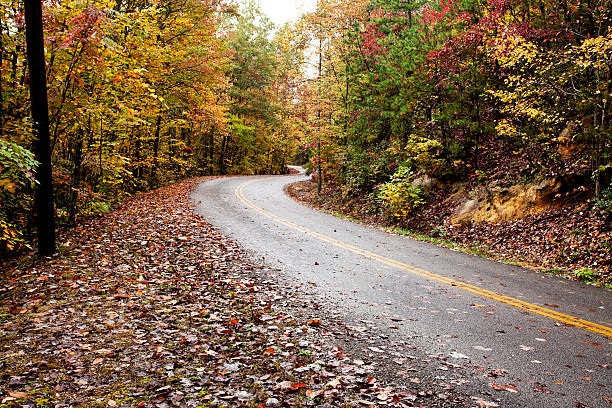 Camino en el bosque de otoño - foto de stock