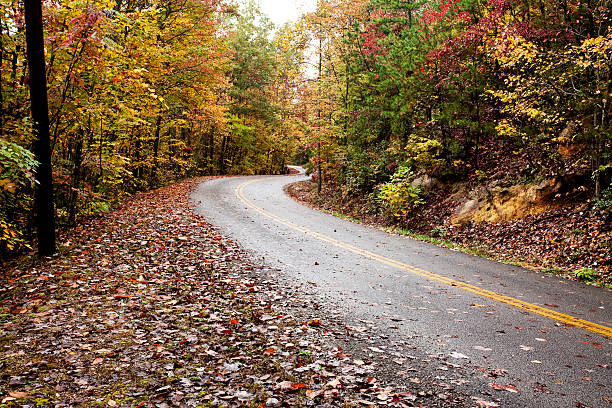 Route dans la Forêt d'automne - Photo