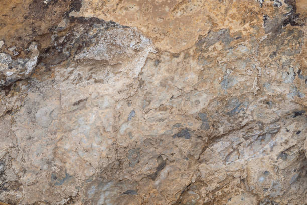 istock Gray-brown stone background. Limestone surface texture, close-up. 1472972851