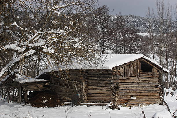istock wooden house under snow 147297617