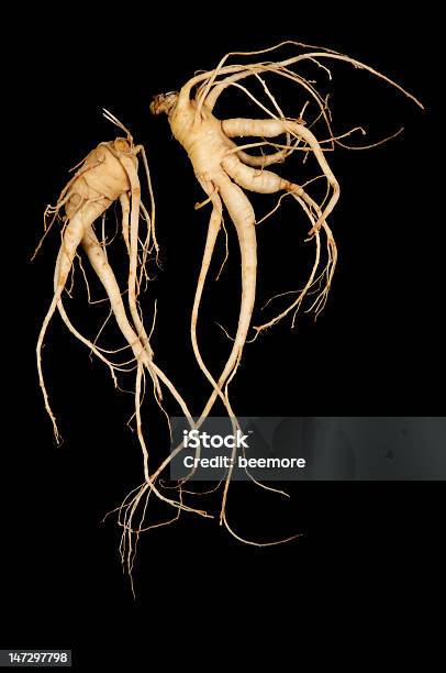 Duas Novas Homem Raízes De Ginseng - Fotografias de stock e mais imagens de Cuidados de Saúde e Medicina - Cuidados de Saúde e Medicina, Cultura Chinesa, Fitoterapia