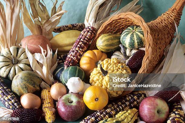 Cornucopia Of Fall Decorative Fruits Stock Photo - Download Image Now - Abundance, Apple - Fruit, Autumn