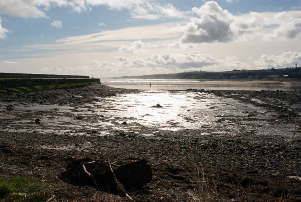 istock Tweed estuary at Berwick upon Tweed in winters sun 1472978969