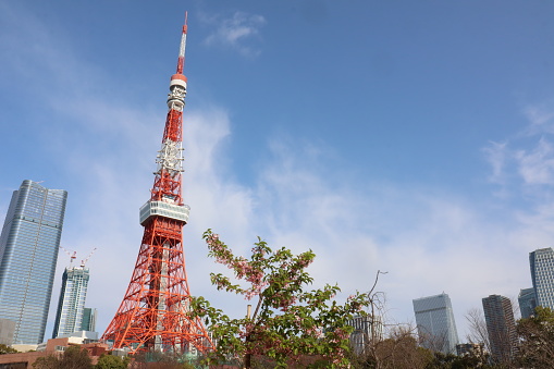 Tokyo Tower photographed from Shiba Park in Minato Ward, Tokyo.