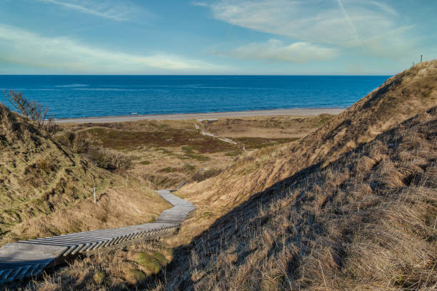 istock Svinkllovene dunes at the North Sea coast in Thy Denmark 1472985679