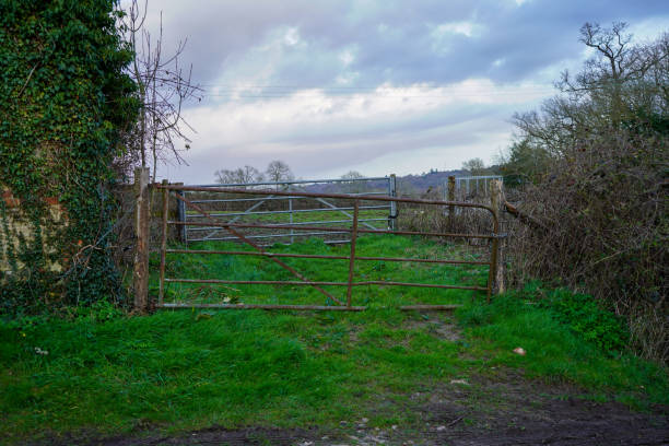 istock Old metal farm gate in front of a field 1472988103