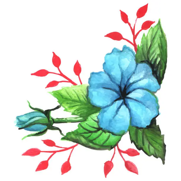 Vector illustration of ilustration hand drawn blue roses