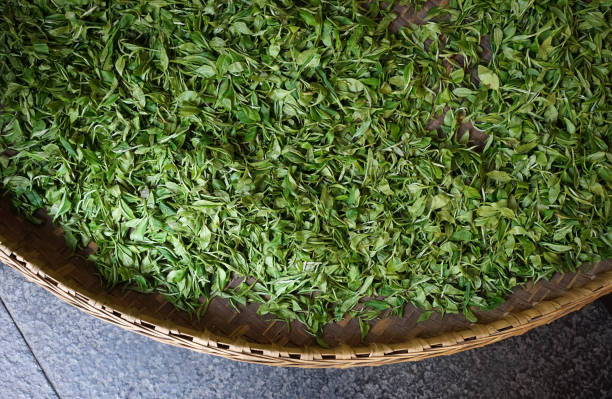 istock Drying tea leaves in the bamboo basket 1472990474