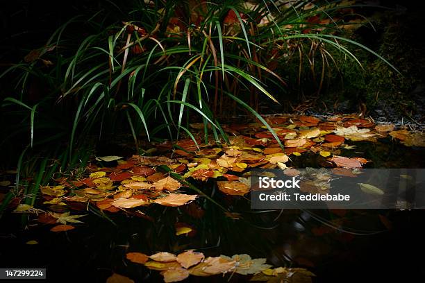 Outono Lago - Fotografias de stock e mais imagens de Ao Ar Livre - Ao Ar Livre, Flutuar na Água, Folha