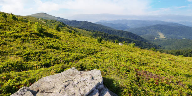 istock meadow with stones among the grass on hillside 1472994052