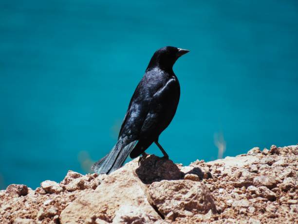 Shot on Canon SX540 HS