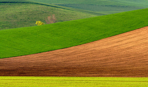 istock green hills in moravia 1472999315