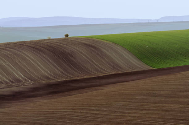 istock plowed fields and green hills in moravia 1472999470