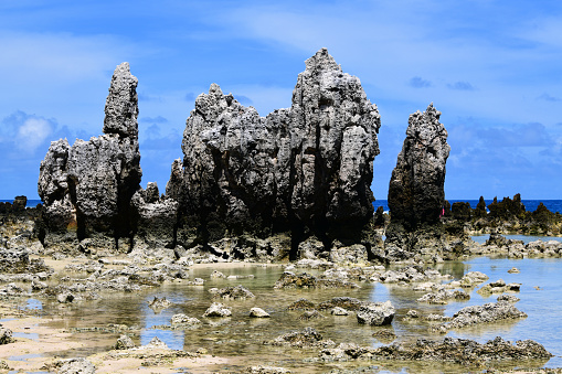 Anibare Bay, Nauru: eroded coral limestone pinnacles on the shallow water - rock formations along Anibare beach - Pacific Ocean horizon.