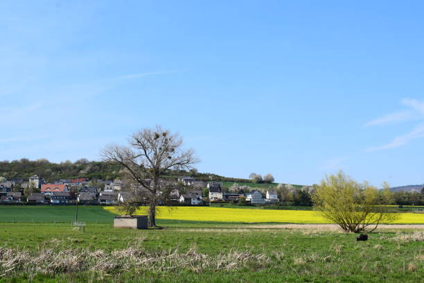 istock yellow fields and swampland a village 1473002860