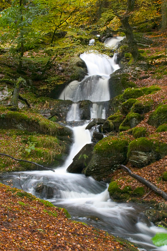 Tumbling multi-level waterfall drops over mossy rocks in an autumn woodland