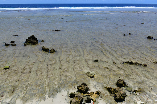 Water's edge hitting the beach and seaweed