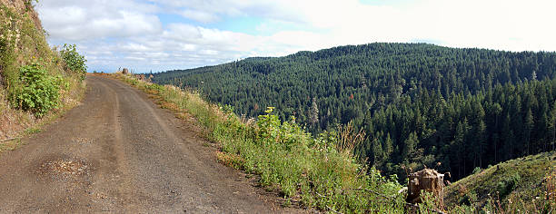 Estrada em um penhasco com vista - foto de acervo