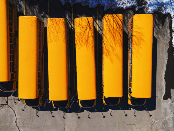 Yellow school bus driving on a rural highway at sunset with golden hour light reflecting off windows.