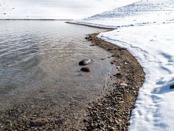 Ice and snow alone the edge shore of a reservoir
