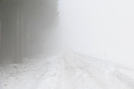 view on a woodland area in the slovenian mountains, wrapped by a thick fog, during winter season