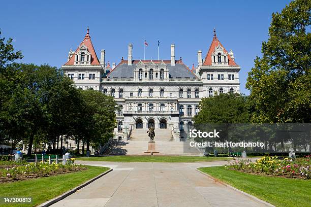 Albany New York - Fotografie stock e altre immagini di Albany - Stato di New York - Albany - Stato di New York, Sede dell'assemblea legislativa di stato, Albero