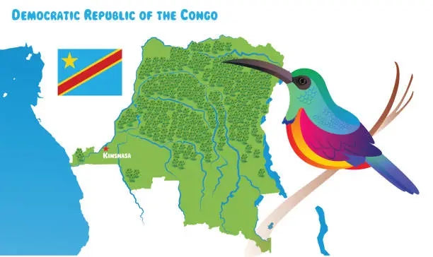 Vector illustration of Democratic Republic of the Congo and Regal Sunbirds