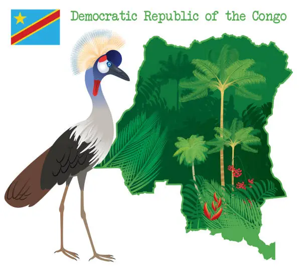 Vector illustration of Democratic Republic of the Congo and Grey Crowned Crane