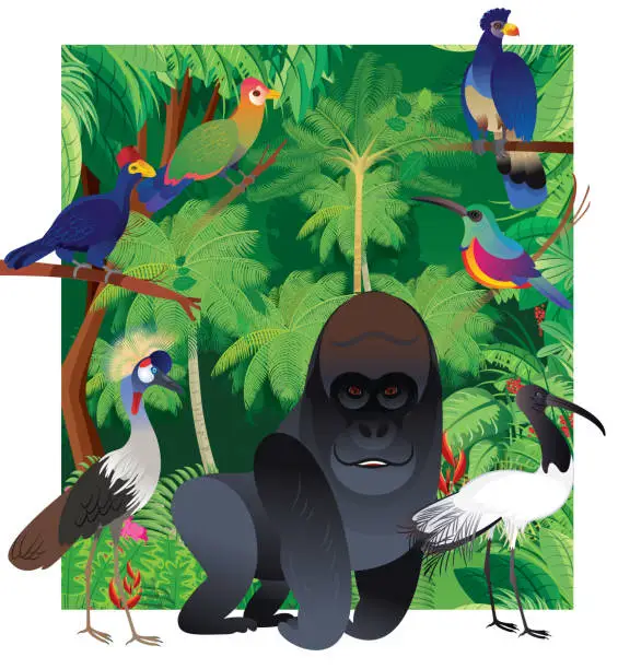 Vector illustration of Tropical Rainforest, Democratic Republic of the Congo