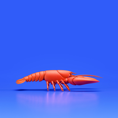 Lobster monochrome single color conch toy made of red plastic, single sea food from side view, profile, animal, 3d rendering, nobody