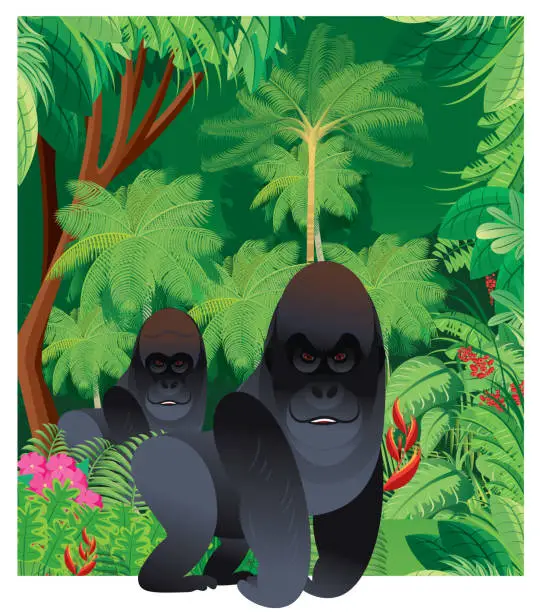 Vector illustration of Gorilla and Tropical Forest