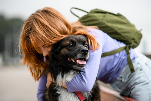 Selective focus on shaggy dog which young woman hugging. Portrait of pets with their owners.