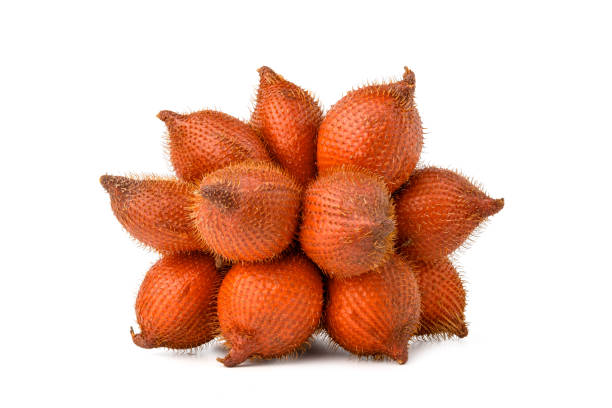 istock Close up Whole of Salak (Salacca zalacca) fruit 1473015258