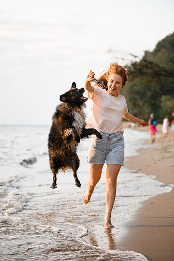 young woman runs along the shore and plays with the dog, teasing her with wooden stick