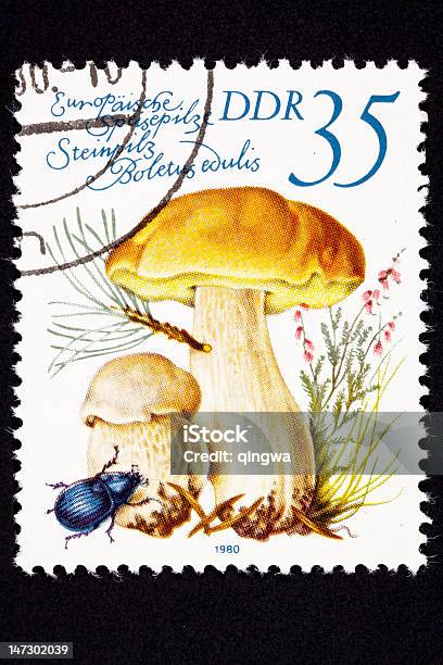 Canceled East German Postage Stamp Porcini Mushroom Boletus Edulis Cep Stock Photo - Download Image Now
