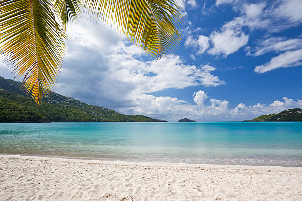 Tropical beach in US Virgin Islands stock photo