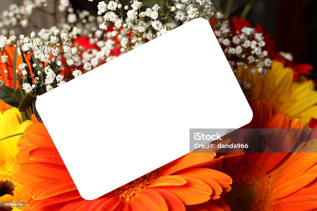 Flores con tarjeta de regalo - Foto de stock de Amor - Sentimiento libre de derechos