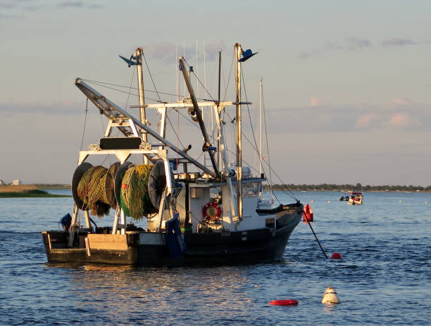 Commercial fishing boats at the pier in Falmouth Harbor on Cape Cod, MA.  These boats are seasonal to Falmouth Harbor and are fishing for squid at this time.