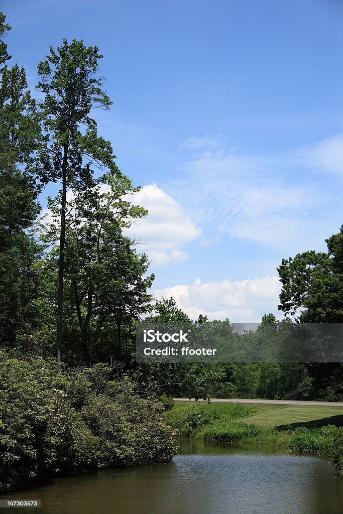 Montañas Blue Ridge-Virginia - Foto de stock de Agua libre de derechos