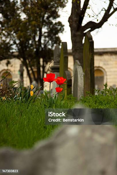 Flores En Grave Foto de stock y más banco de imágenes de Cementerio - Cementerio, Enterrado, Fotografía - Imágenes