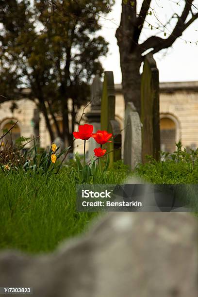 Fiori Sulla Grave - Fotografie stock e altre immagini di Cimitero - Cimitero, Composizione verticale, Erba