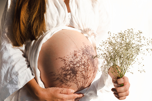 Cropped shot of unrecognizable pregnant woman holding beautiful flowers standing by white wall having shadows on belly.Lifestyle, minimalism concept.Pregnancy in spring,summer concept.