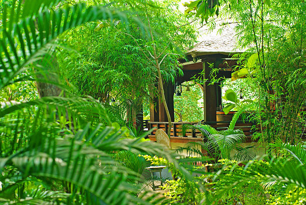 istock Veranda in the tropical garden 147304166