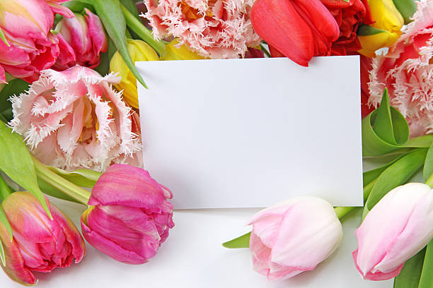 istock Colorful tulips surrounding a blank note 147304274