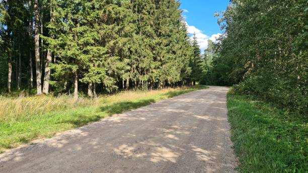 istock Single track dirt roads passing through vast forest spaces connect the villages 1473042829