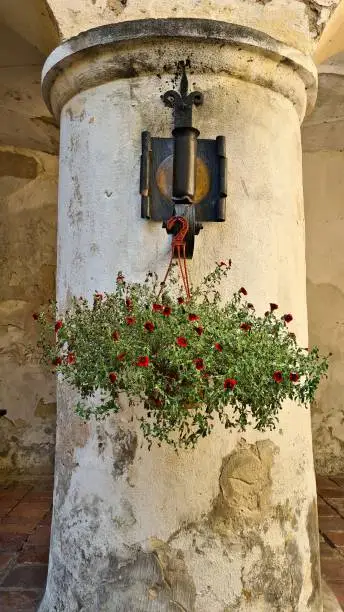 Basket with small red flowers is suspended from an old thick column.